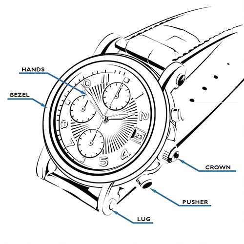 Parts of a watch