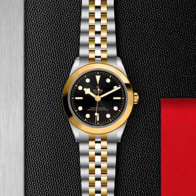 Tudor M79663-0001 Black Bay 39 S&G Watch