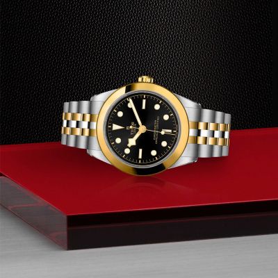 Tudor M79663-0001 Black Bay 39 S&G Watch