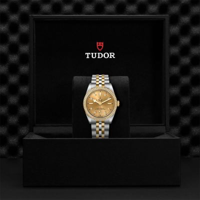 M79653-0007 TUDOR Black Bay 36  S&G watch in presentation box
